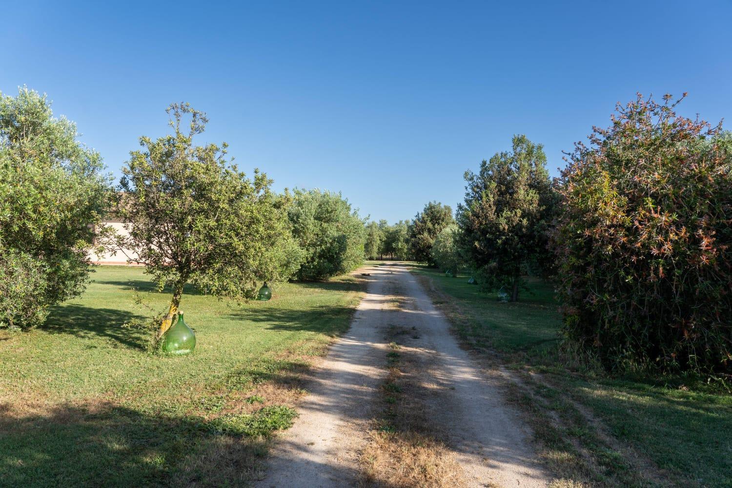 Agriturismo Lungo Albegna Manciano Exterior foto
